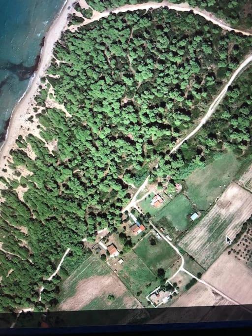 Villa Anastasia! In Strofylia Pine Forest!!! Manolas Екстериор снимка