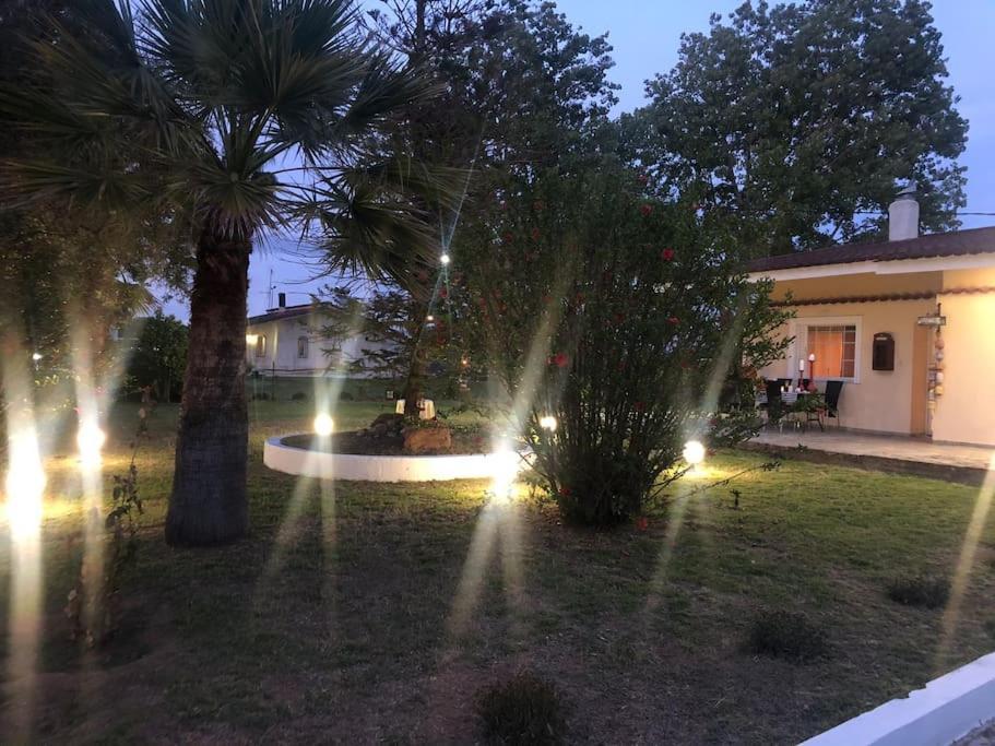 Villa Anastasia! In Strofylia Pine Forest!!! Manolas Екстериор снимка