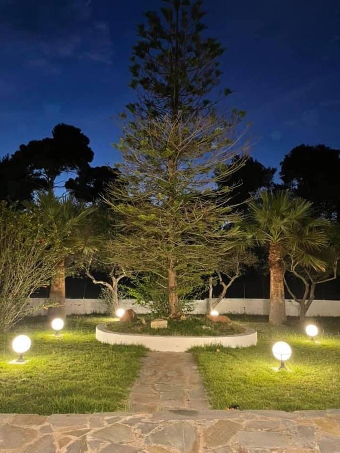 Villa Anastasia! In Strofylia Pine Forest!!! Manolas Екстериор снимка